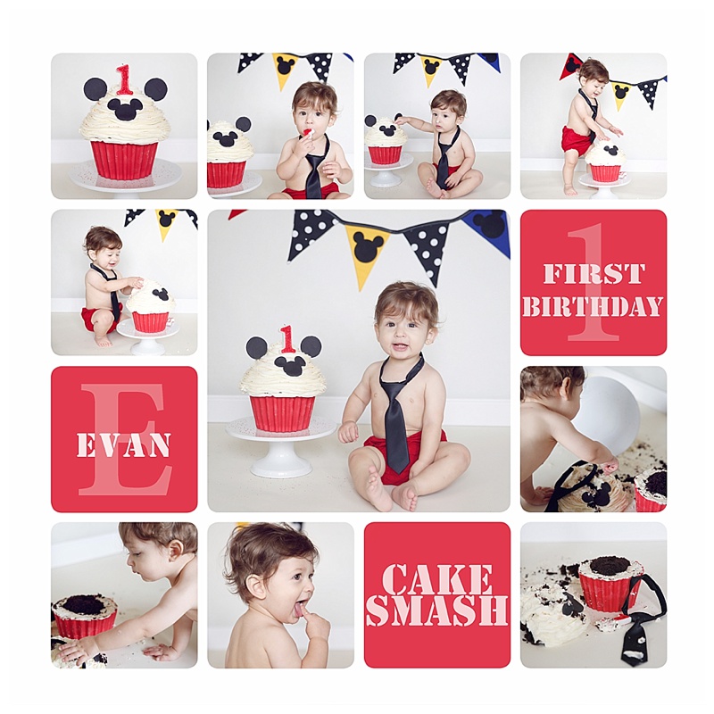 Cake Smash First Birthday