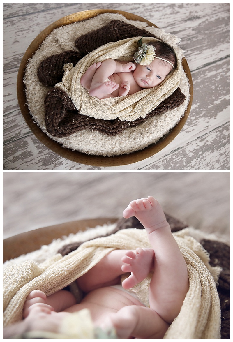 Newborn Portraits