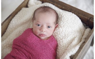 Southern MA Newborn Photographer | Baby Z