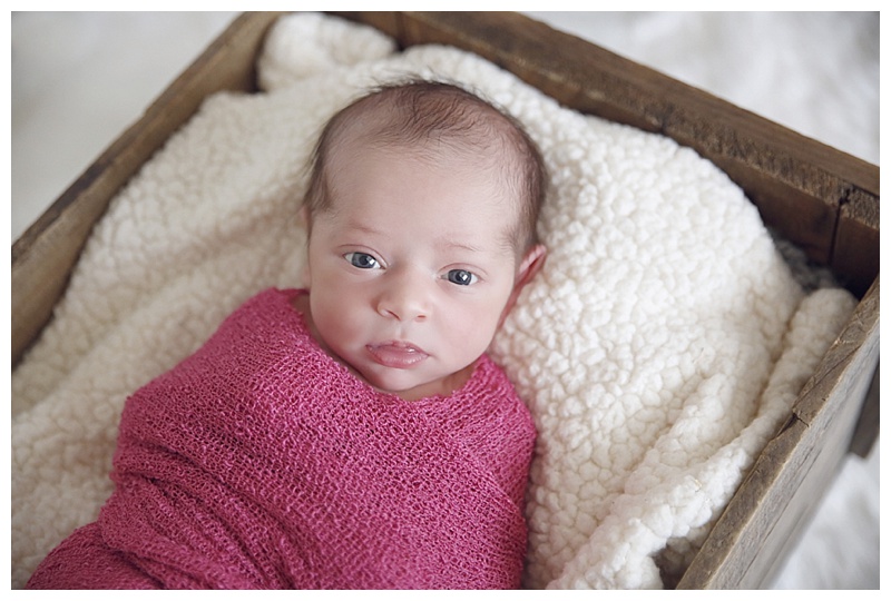 Southern MA Newborn Photographer | Baby Z
