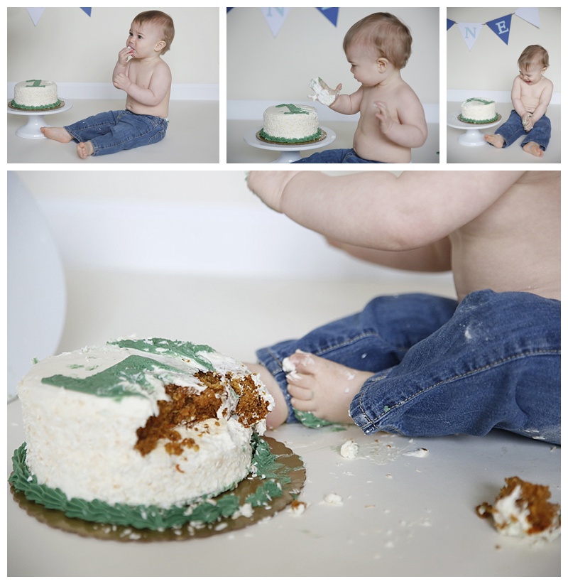 1st Birthday Cake Smash