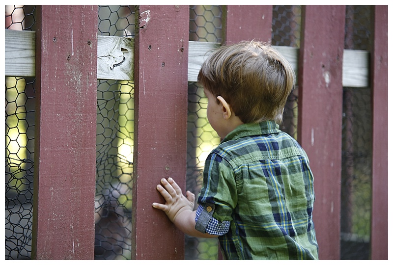 child photographer