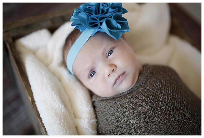 MA Newborn Photographer_0050
