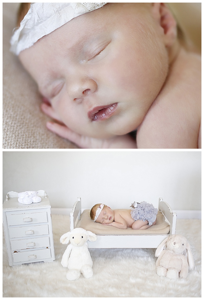 MA Newborn Photography