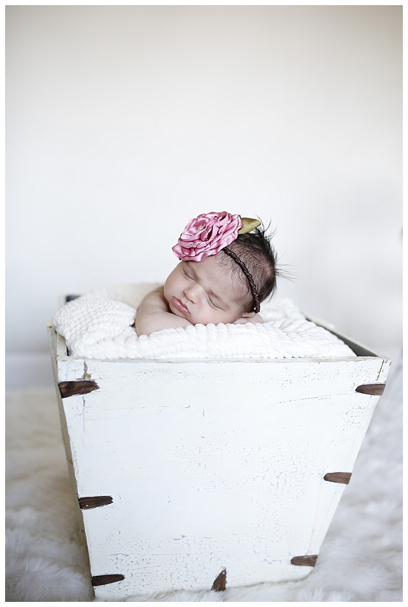 MA Newborn Photographer