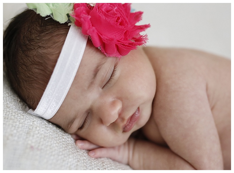 MA Newborn Photographer