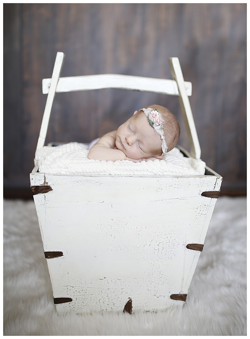 Easton MA Newborn Photographer