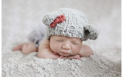 South Boston MA Newborn Photographer
