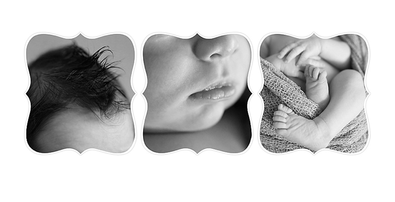 Bridgewater Newborn Photographer