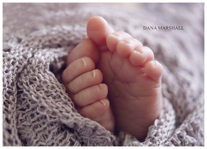 Cohasset newborn Photographer