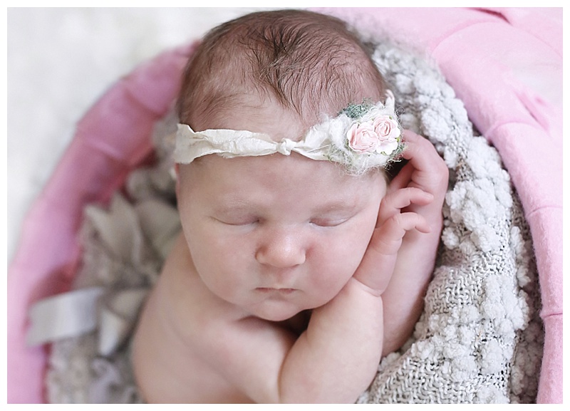 South Boston Newborn Photographer