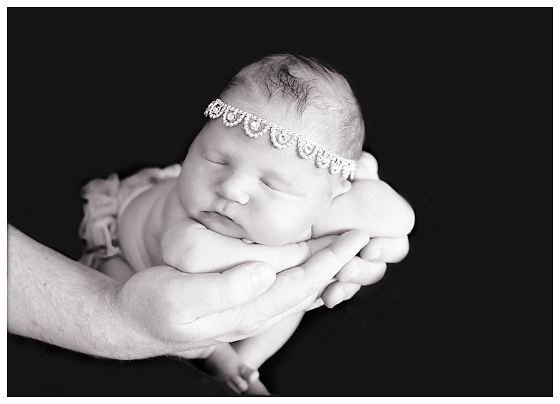 South Boston Newborn Photographer