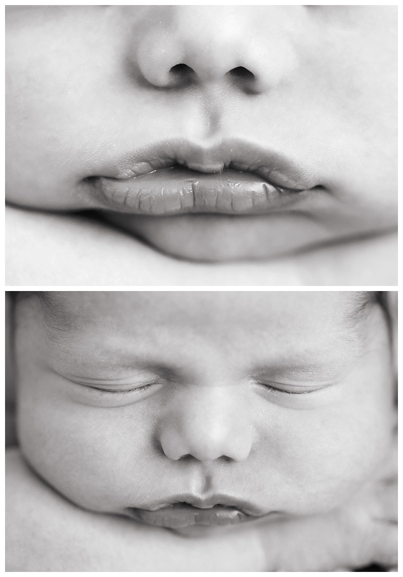 Massachusetts Newborn Photographer
