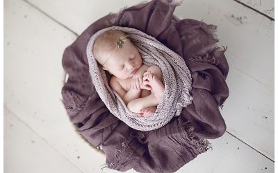 Canton MA Newborn Photographer |Baby Rose
