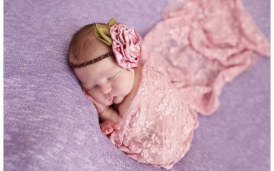 South Boston Newborn Photographer