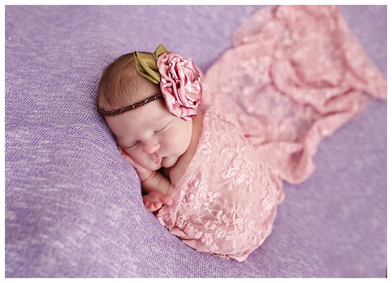 South Boston Newborn Photographer