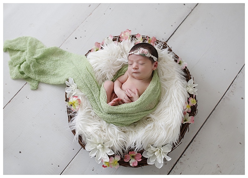 Bridgewater MA Newborn Photographer