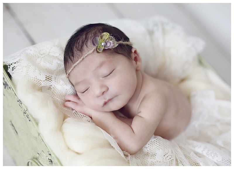Bridgewater MA Newborn Photographer