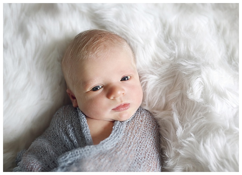 Massachusetts Newborn Photographer