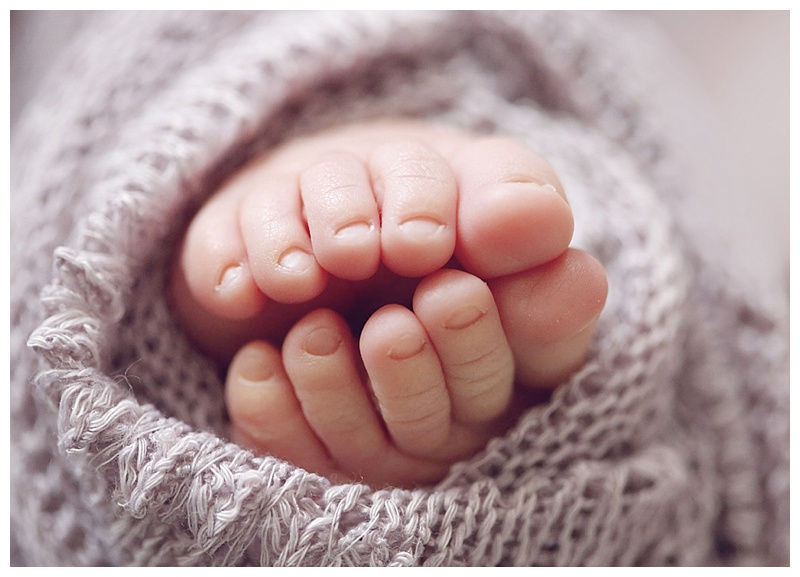 Easton Newborn Photographer