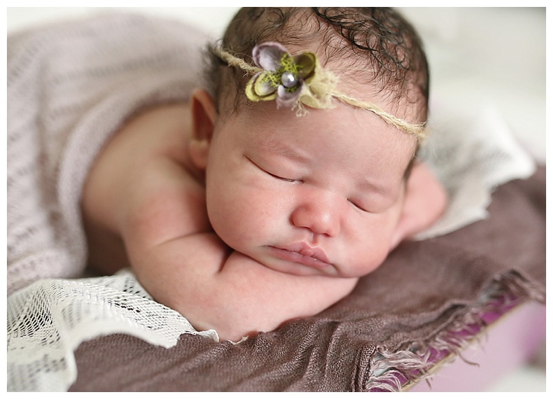 Norton MA Newborn Photographer