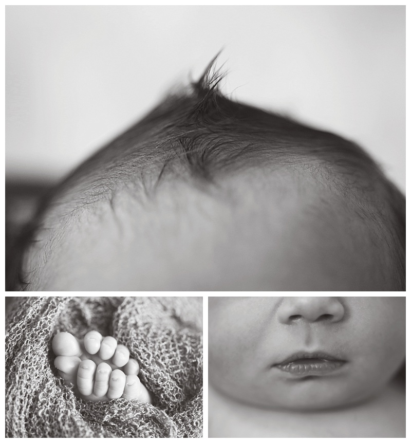 Southern MA Newborn Photographer