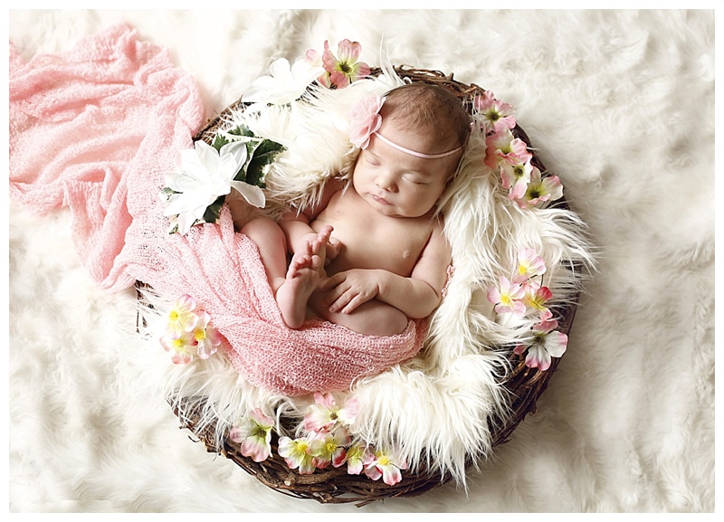 Needham Newborn Photographer