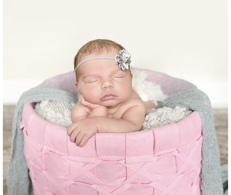 Needham Newborn Photographer | Baby Makayla