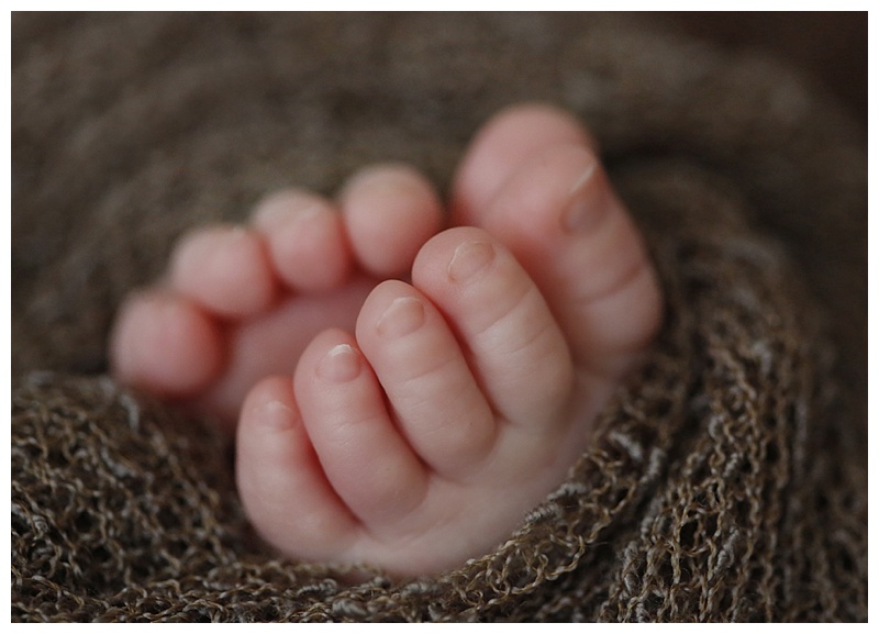 West Roxbury Newborn Photographer