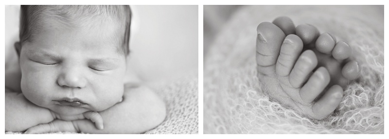 North Reading MA Newborn Photographer
