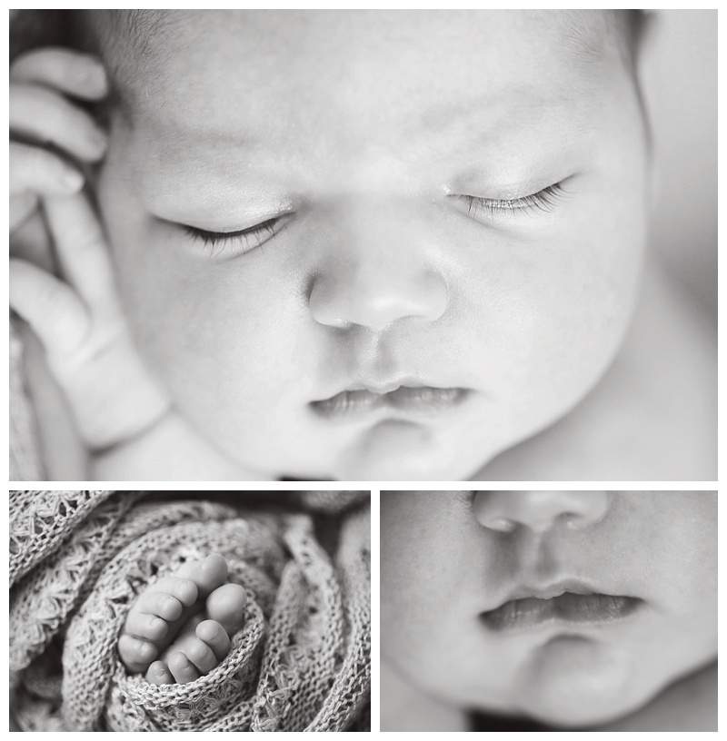 marlborough ma newborn Photographer