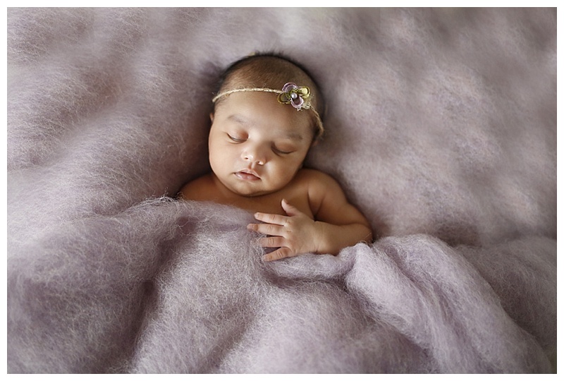 Attleboro MA Newborn Photographer