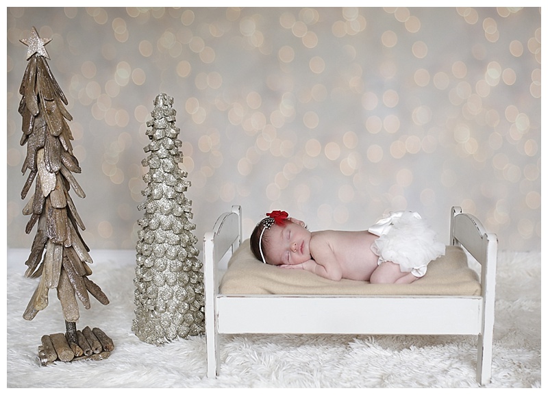 Somerville MA Newborn Photographer