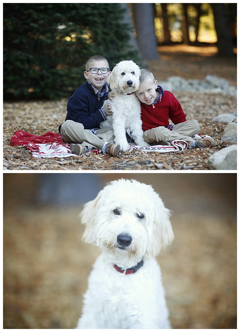 Easton MA Photographer Holiday Mini Sessions