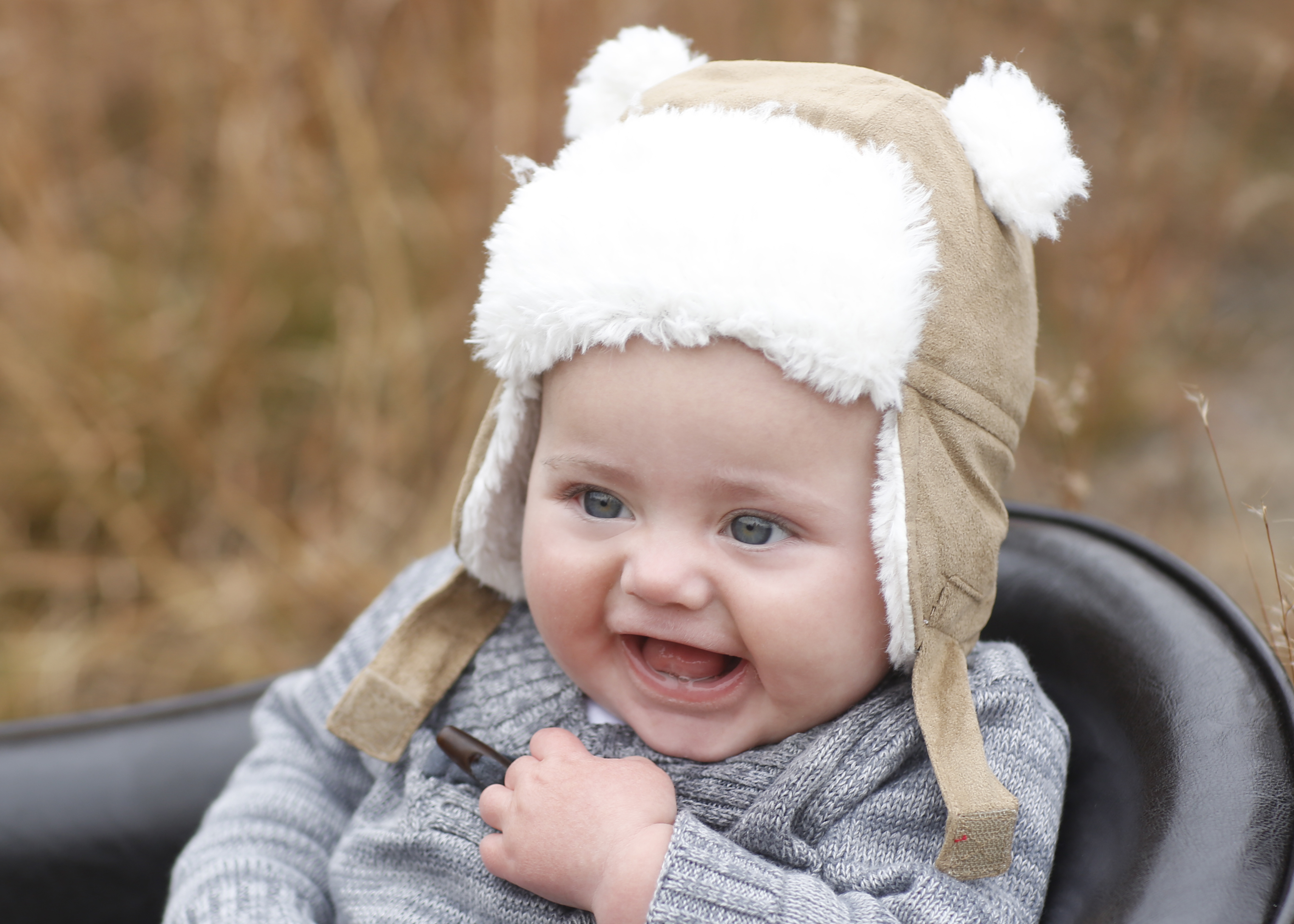 Easton MA Photographer