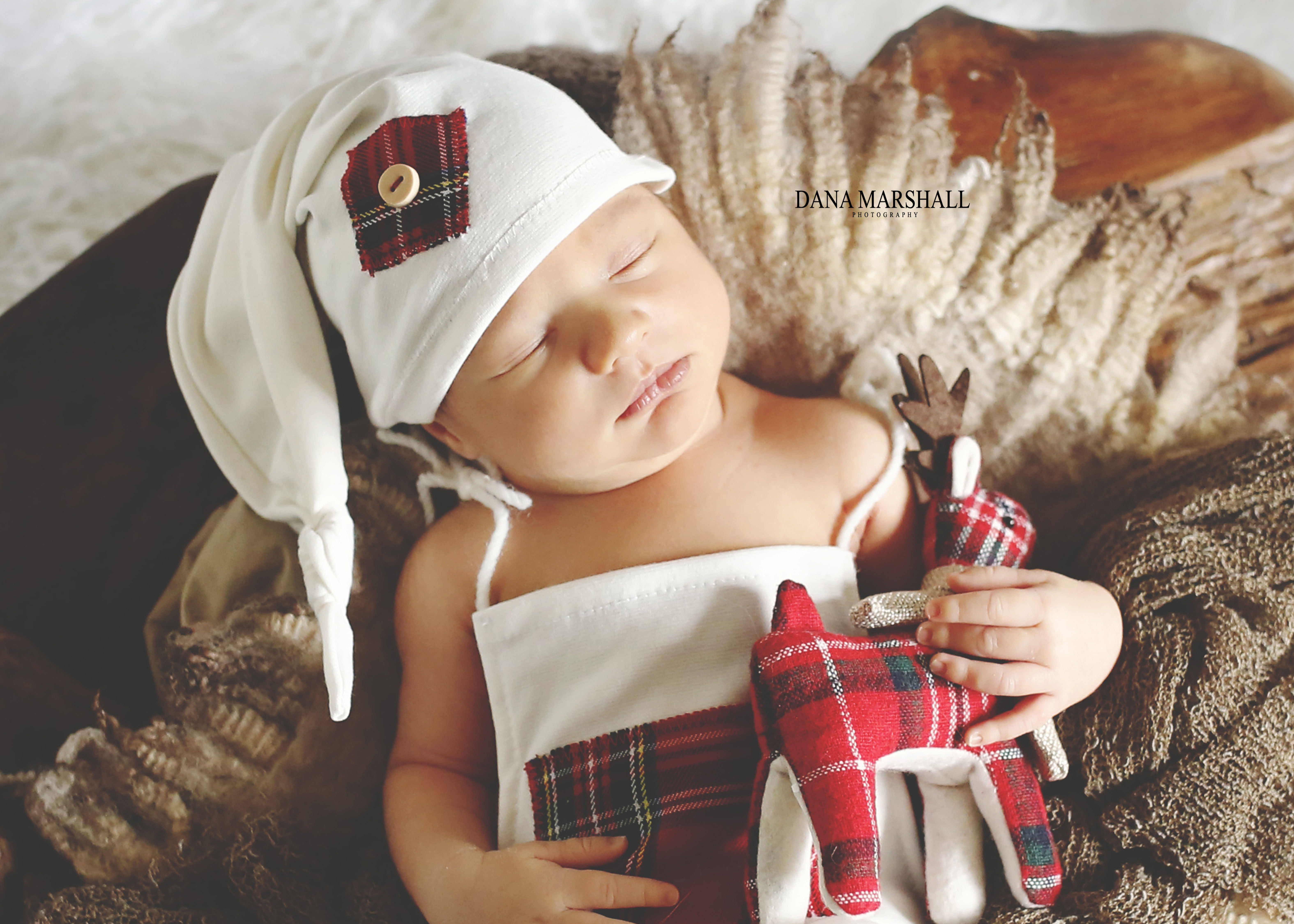 Easton MA Photographer