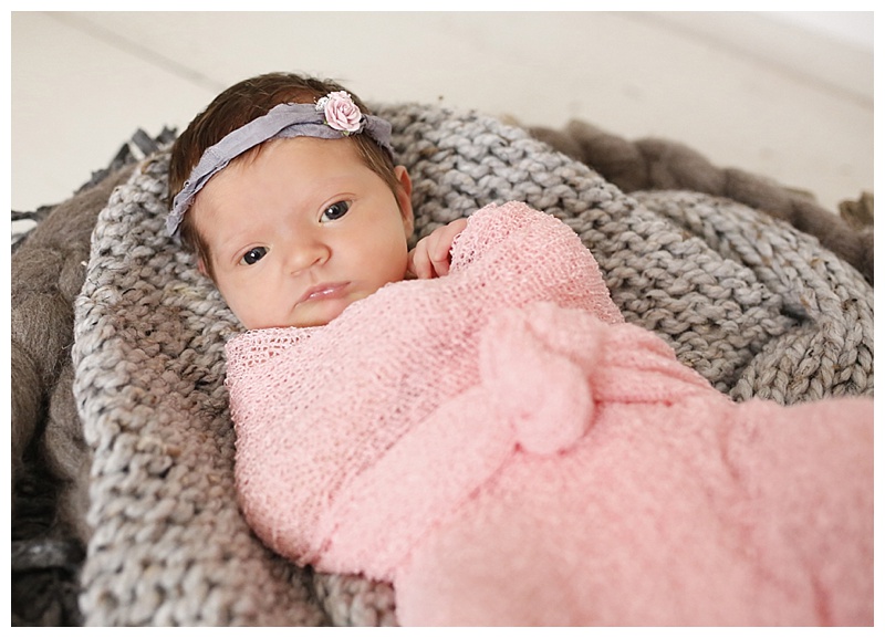 Southern MA Newborn Photographer