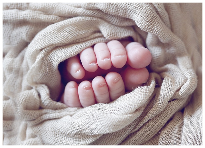 Stoughton MA Newborn Photographer