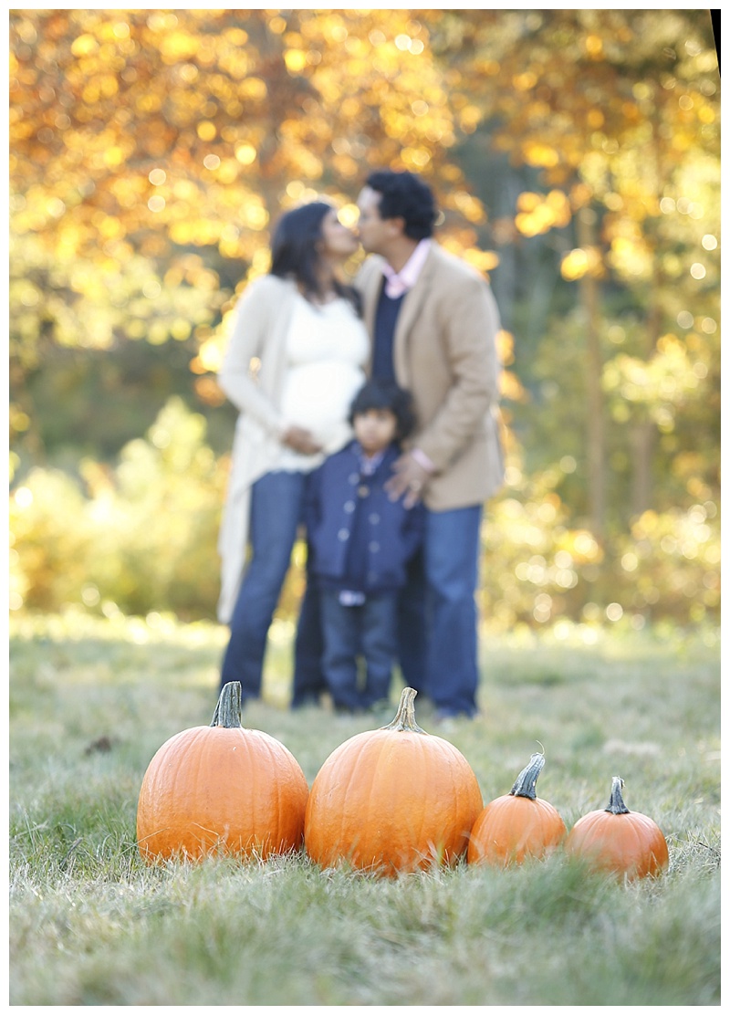 Foxboro MA Maternity Photographer