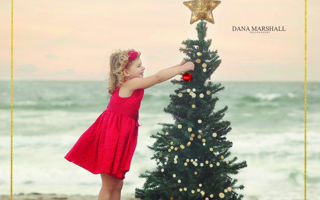 Holiday Sessions |Easton MA Photographer