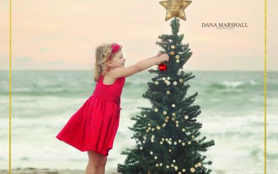 Holiday Sessions |Easton MA Photographer