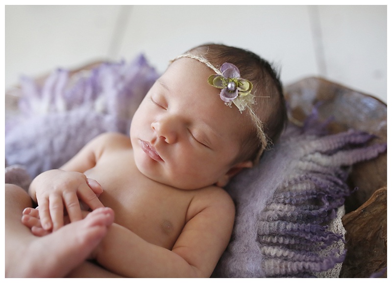 Canton MA Newborn Photographer