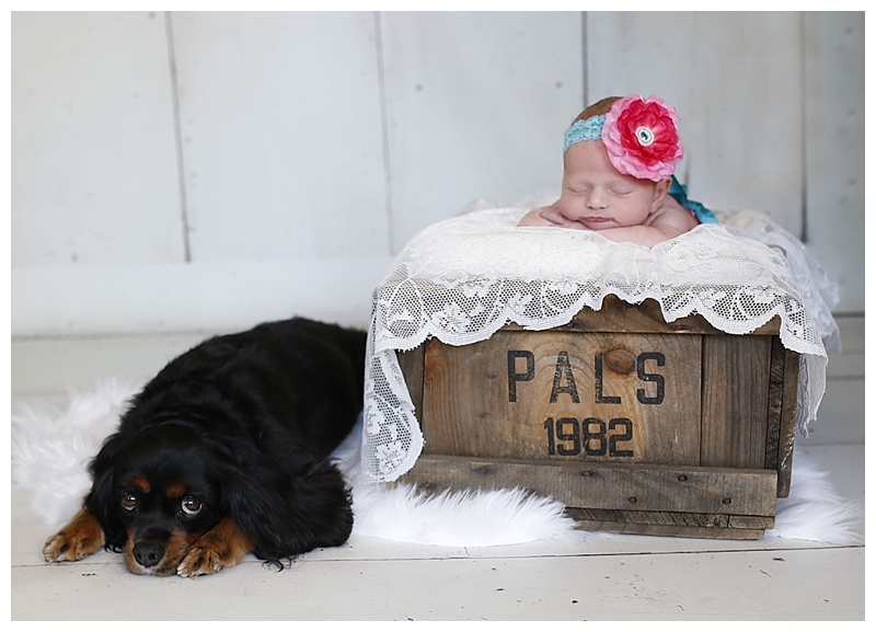 West Bridgewater MA Newborn Photographer