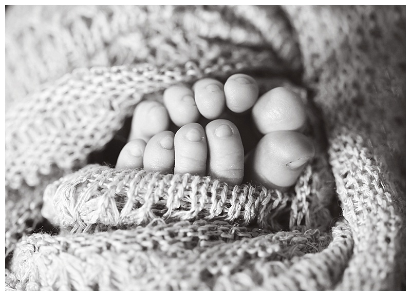 West Bridgewater MA Newborn Photographer