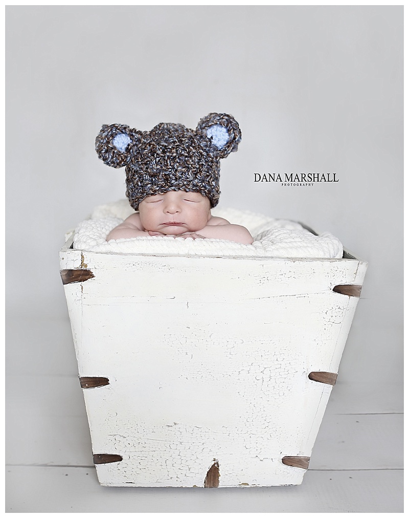 Norton MA newborn Photographer