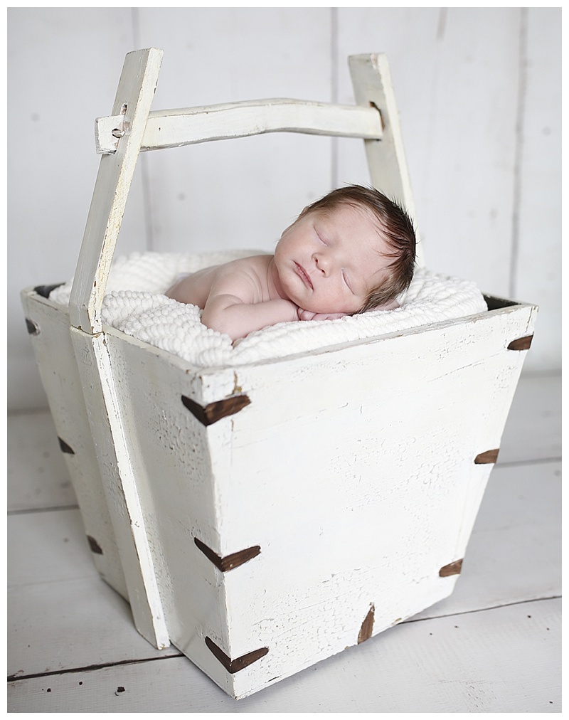 Norton MA newborn Photographer