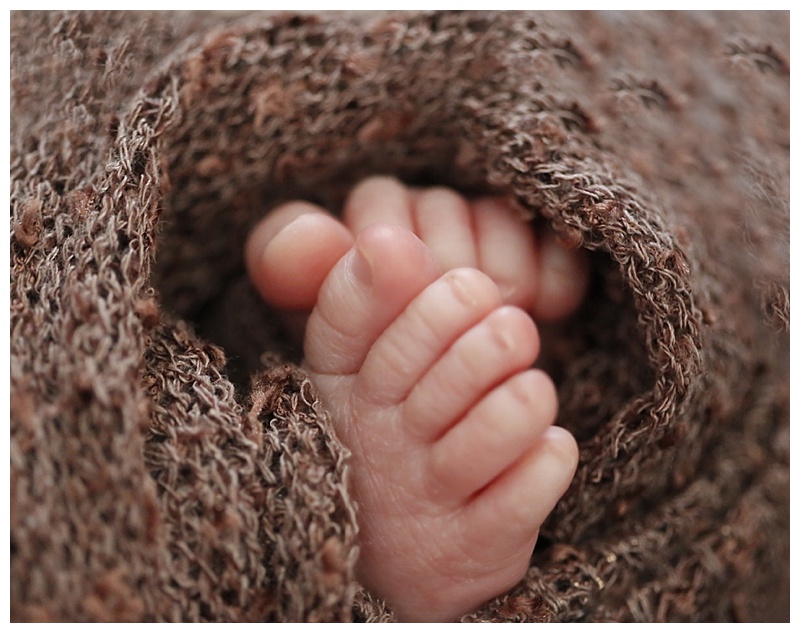 Norton MA newborn Photographer