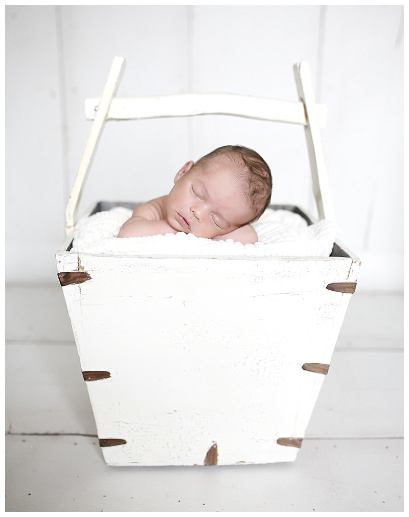 south boston newborn photographer
