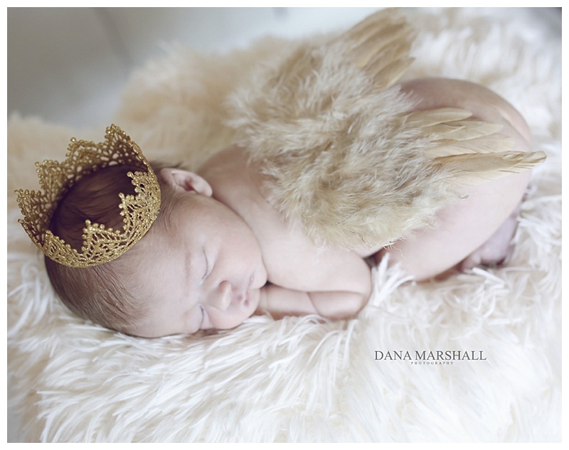 North Attleboro Newborn Photographer
