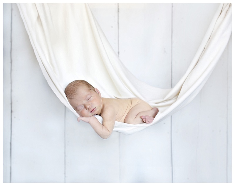 Franklin Newborn Photographer